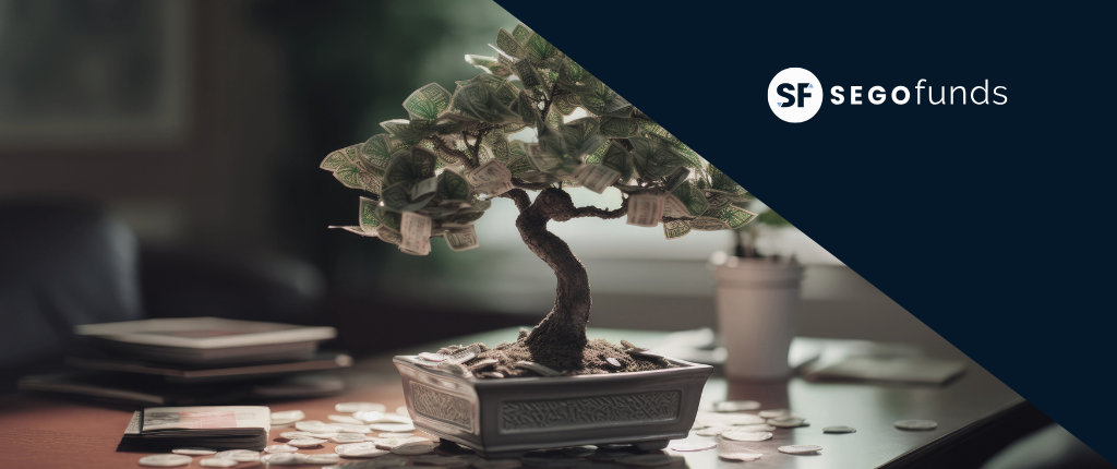 Imagen entradas blog (10) Bonsái con billetes y monedas simbolizando ahorro e inversión a largo plazo con SEGO Funds, planes de pensiones 2025