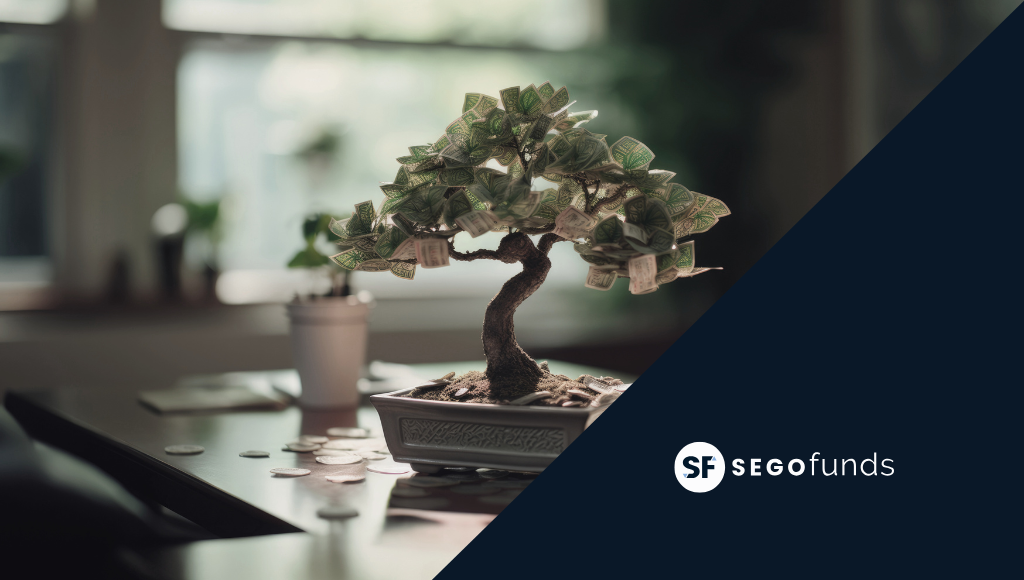 Bonsái con billetes y monedas simbolizando ahorro e inversión a largo plazo con SEGO Funds, planes de pensiones 2025