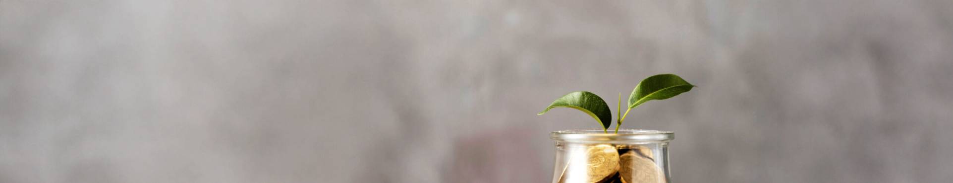 iberseries-creative-audiovisual